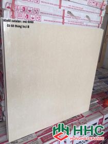 Gạch lát nền 60x60 bóng kiếng 6066